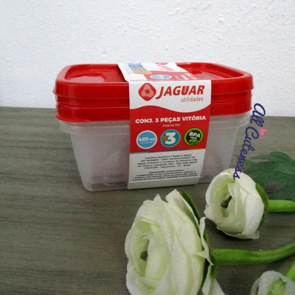 🎀 Small Plastic Containers with Lids